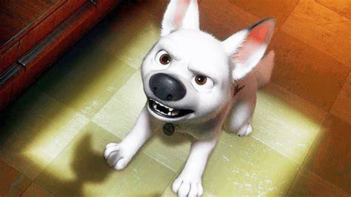 14 Facts About Bolt (Bolt)