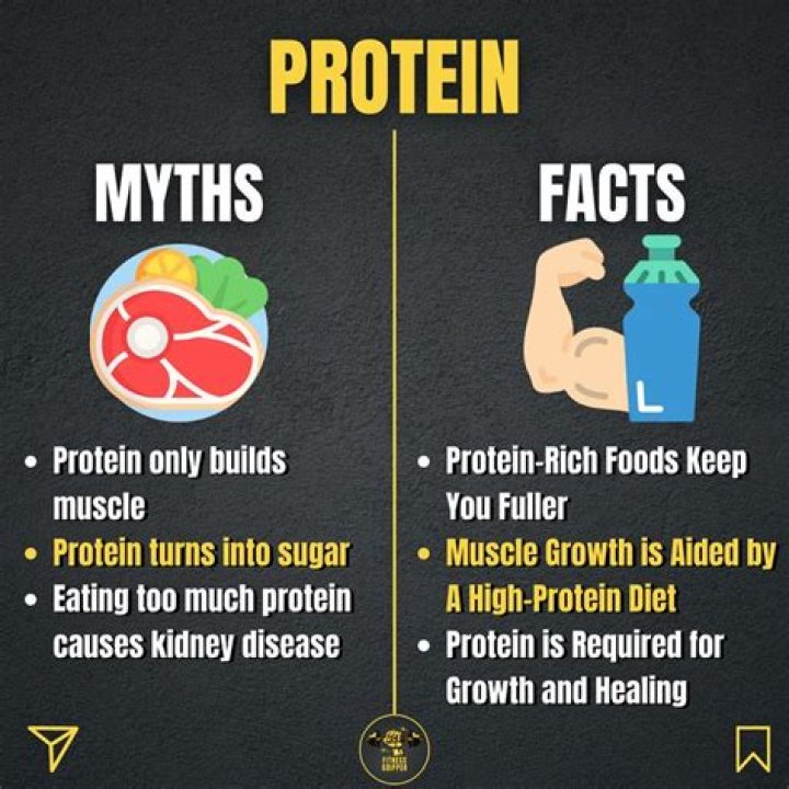 17 Fascinating Facts About Protein Function