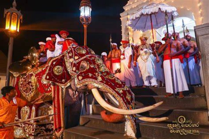 19 Facts About Kandy Perahera