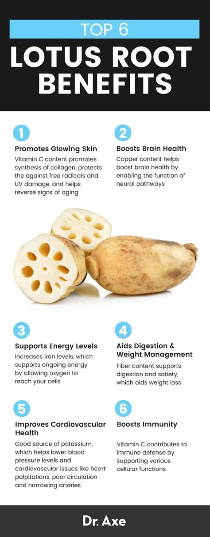 20 Facts About Lotus Root