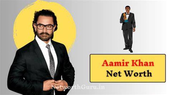 Amir Khan Net Worth  - Pulptastic