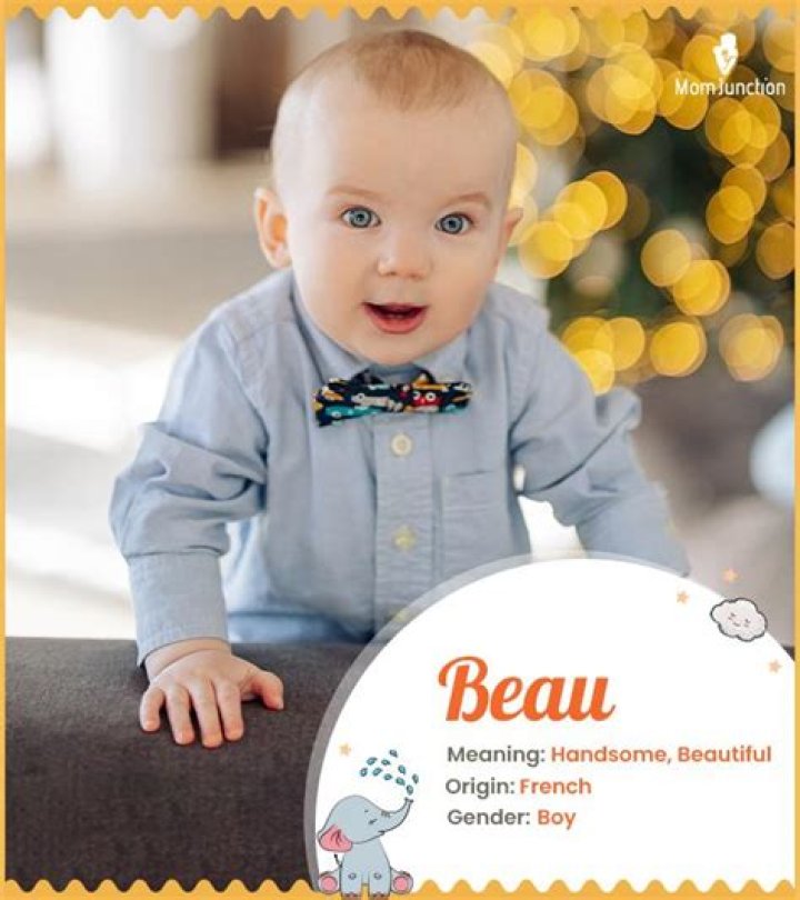 Beau Meaning in English, Beau Baby Name Origin Gender Meaning Pronunciation