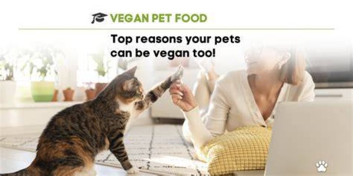 Can Ethical vegans have pets?