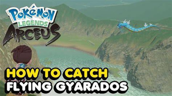 Can gyarados learn fly?