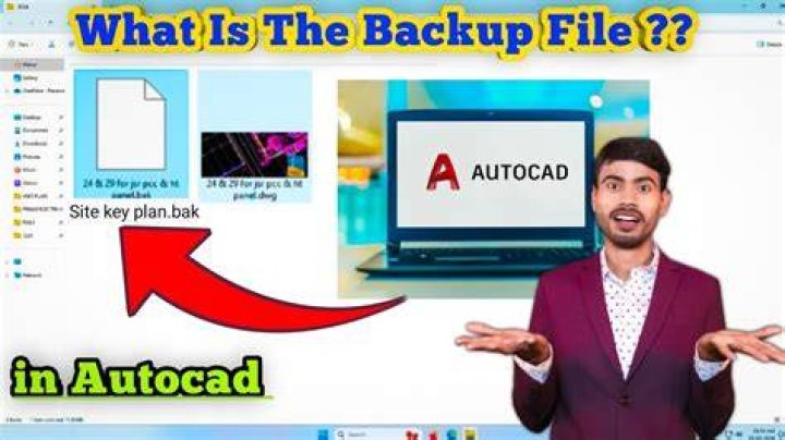 Can I delete BAK files Autocad?
