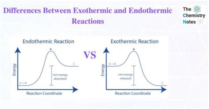 Difference Between Exothermic And Endothermic
