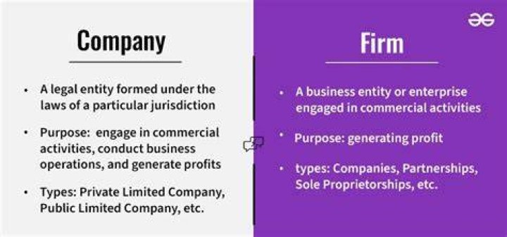 Difference Between Firm And Company