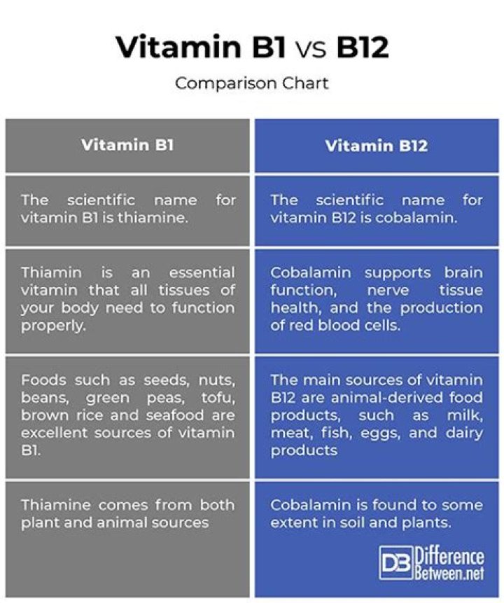 Difference Between Vitamin B1 And B12