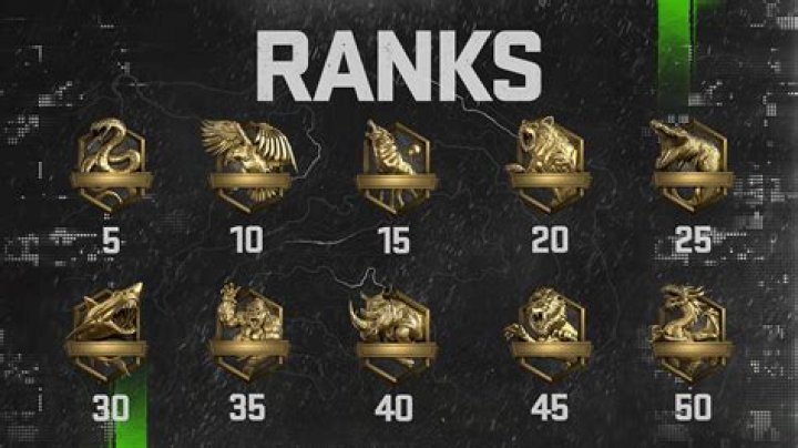 Does Cod rank reset every season?