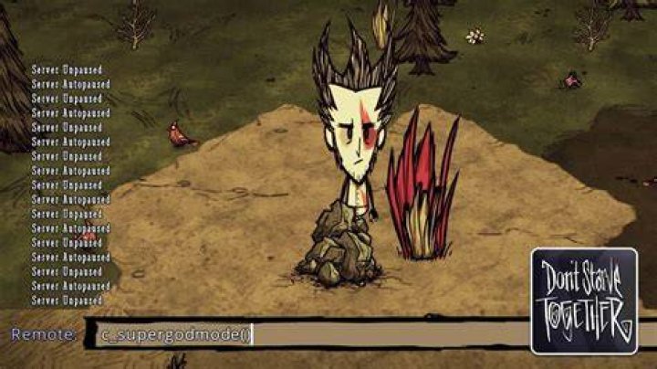 Does don’t starve together have console commands?