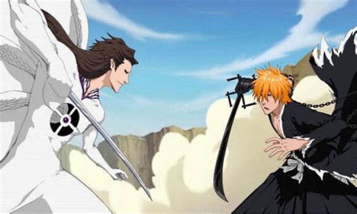 Does Ichigo know Kendo?