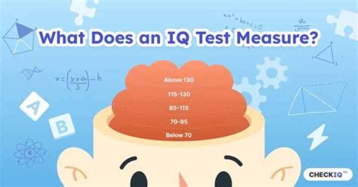 Does IQ predict performance at work?