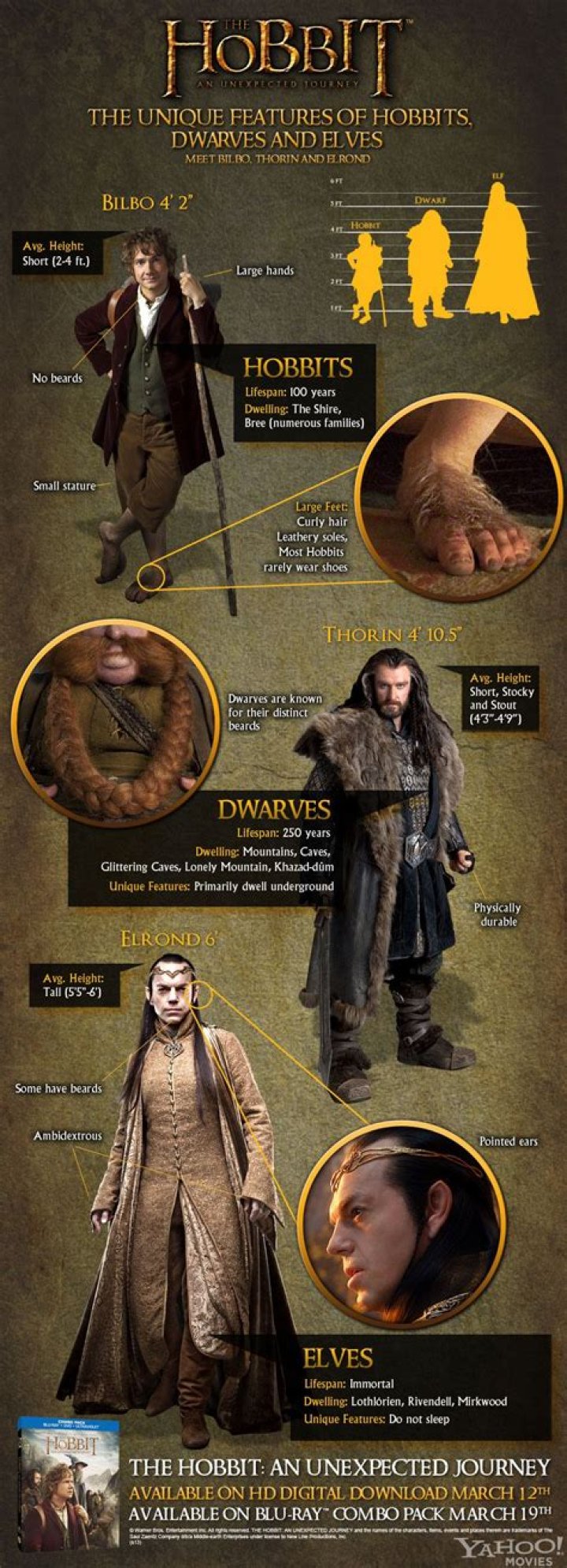 DWARF vs HOBBIT What is The Difference Between DWARF And HOBBIT