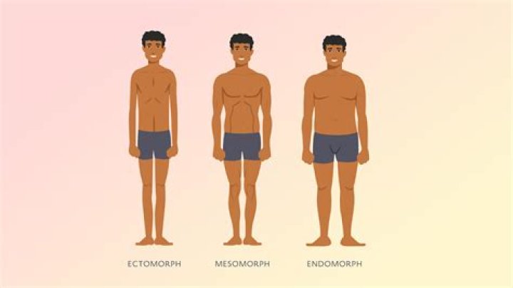 Endomorph, Ectomorph, or Mesomorph? How to exercise for your body type