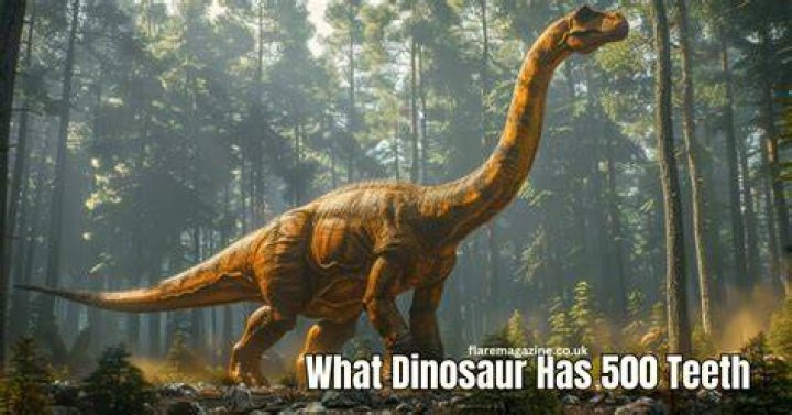 Explore Something Interesting About The Dinosaur Having 500 Teeth