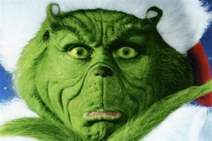 Grinch Face - Facts.net