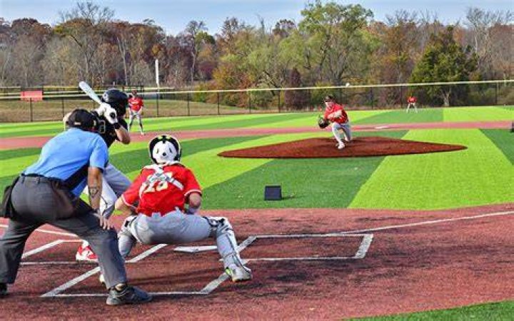 Gwynedd Mercy University Baseball Program Information