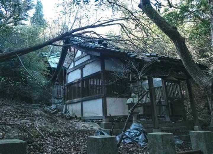 Has Sony abandoned Japan?