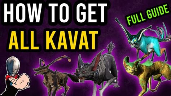 How do I get kavat 2020?