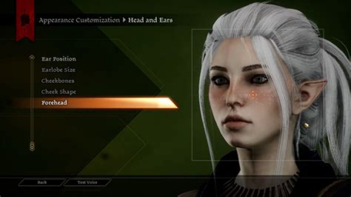 How do I use Dragon Age 2 mod manager?