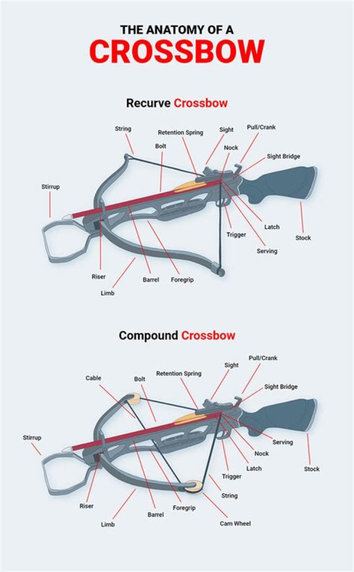 How do you use a crossbow underwater?