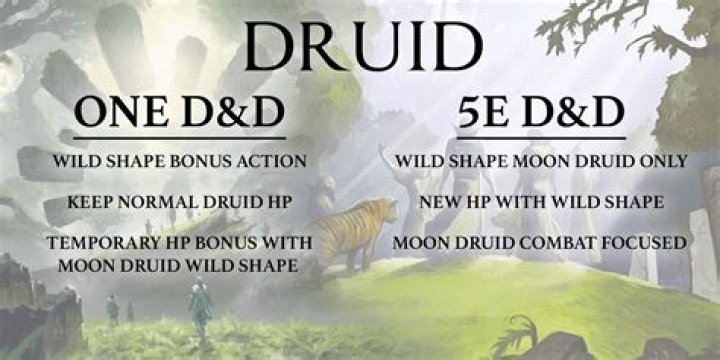 Is D&D Druid class good?
