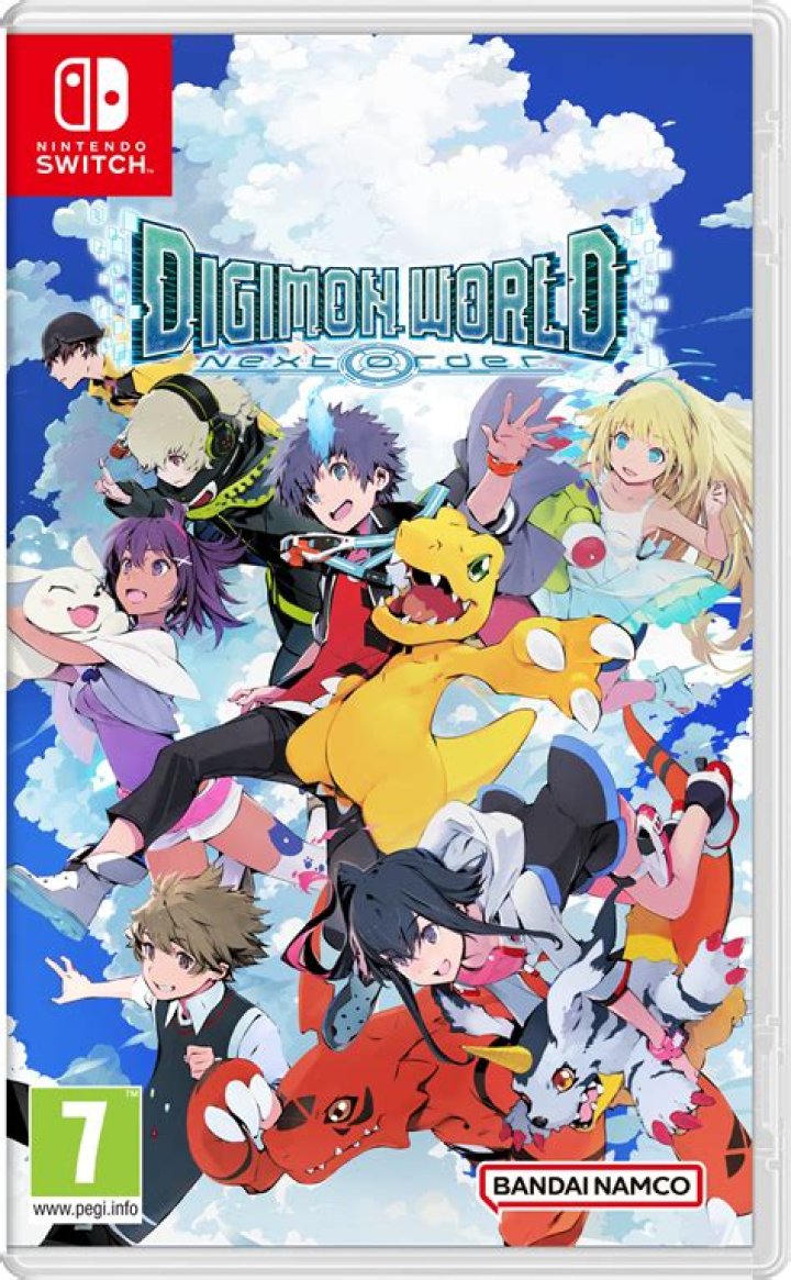 Is Digimon next order on switch?