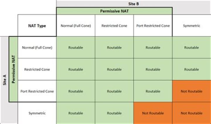 Is NAT Type 1 Safe?