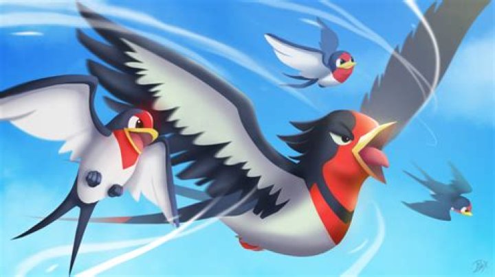 Is Taillow or Wingull better?