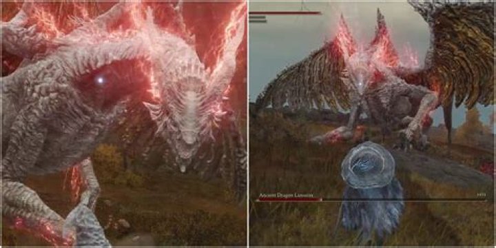 Is the Ancient Dragon optional?