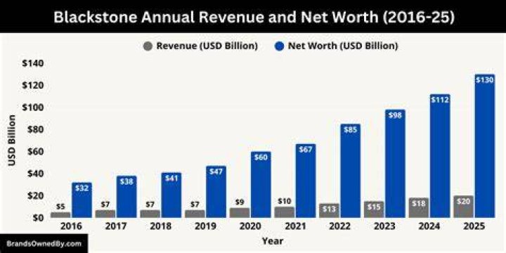 John Schreiber Blackstone Net Worth