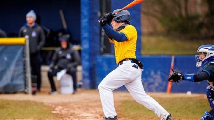 Lakeland University Baseball Program Information