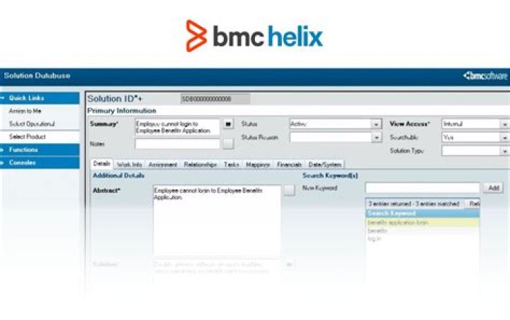 Remedy Usage Report Instructions - BMC Software