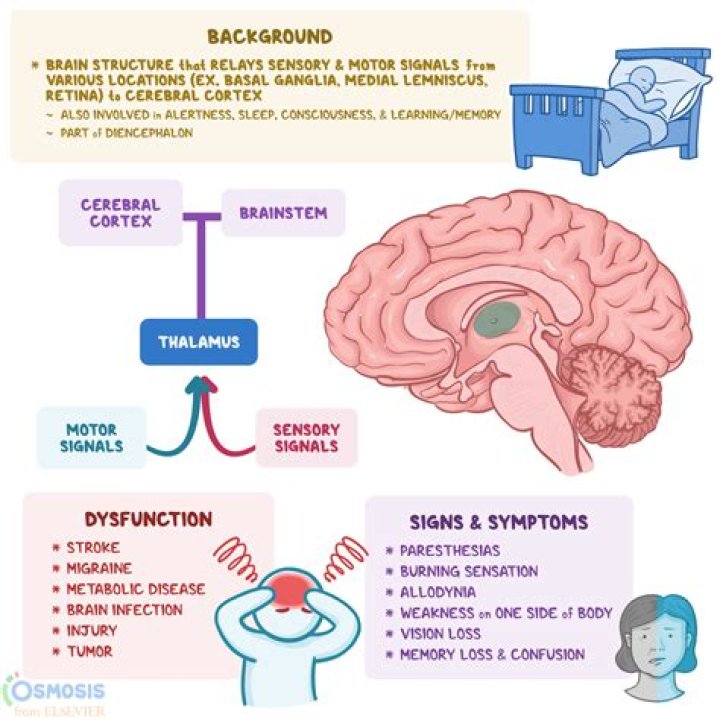Second screening 'may alter the brain and trigger emotional problems'