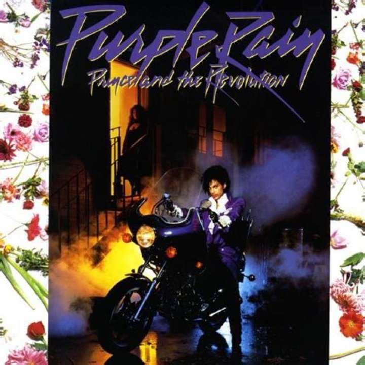 The Color Purple Introduction | Shmoop