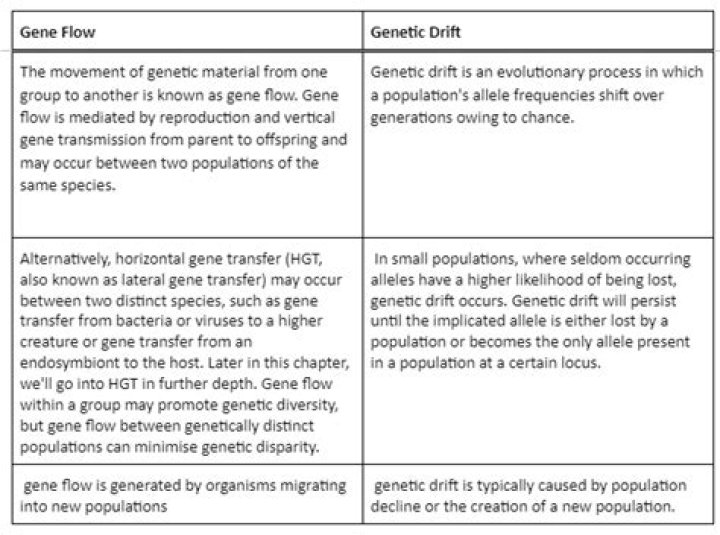 The Difference Between Gene Flow And Genetic Drift