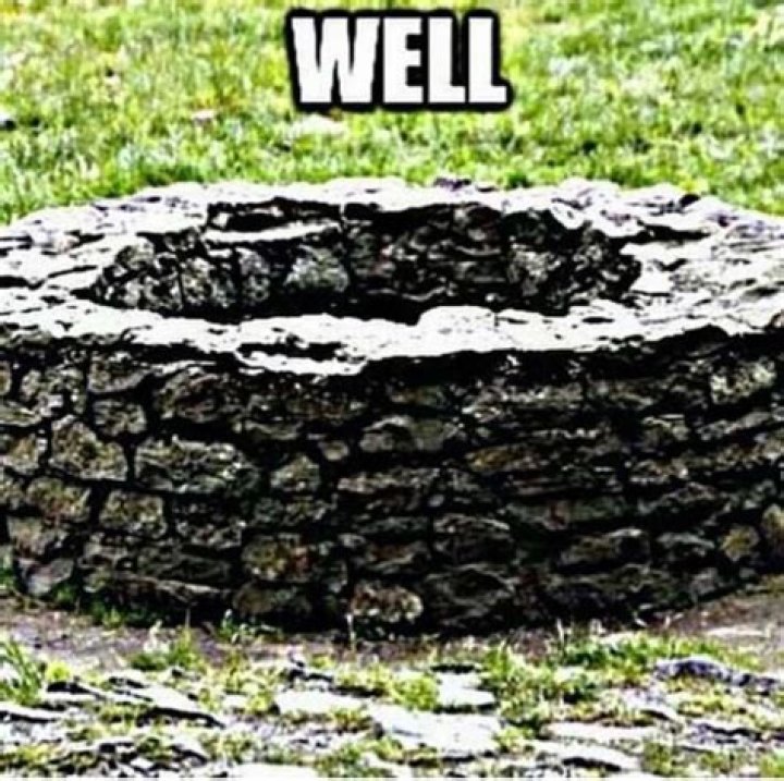 Well Well Well