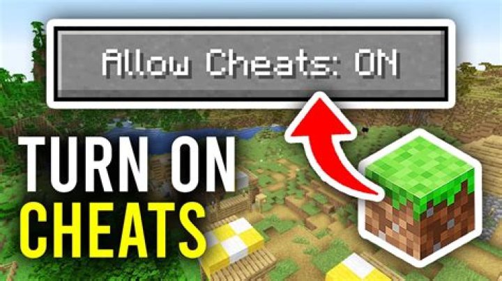 What does allow cheats do in the forest?