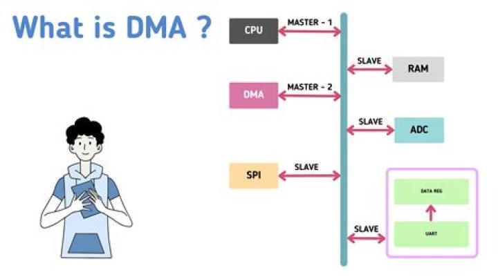 What is a DMA rank?
