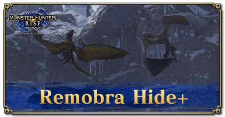 What is a Remobra?