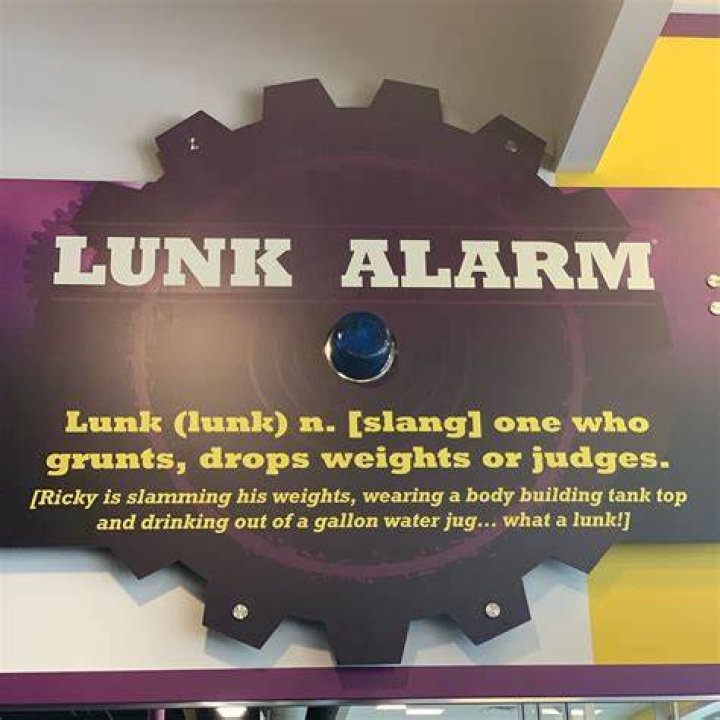 What is lunk alarm?