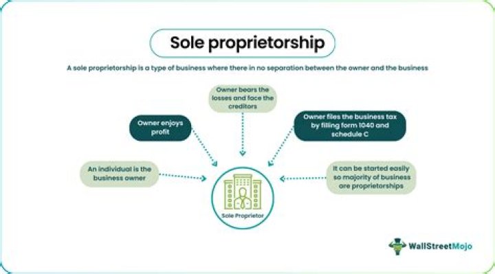 What is Sole Proprietorship? Explained With Examples