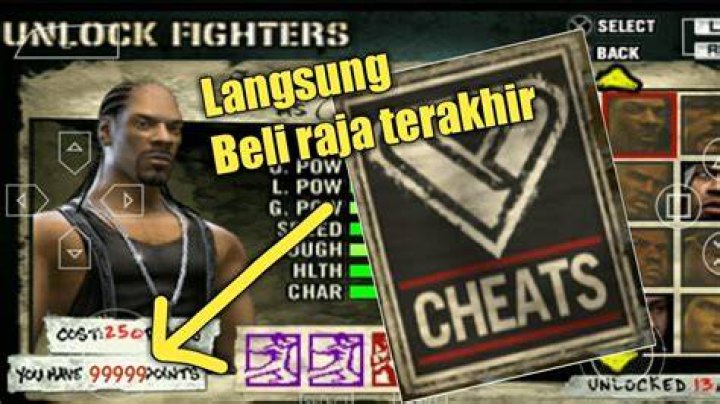 What is the cheat code of Def Jam?