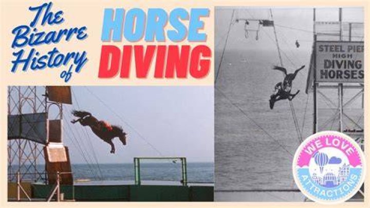 What is the hardest diving trick?