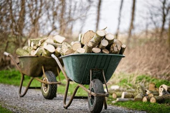 Wheelbarrel - Facts.net