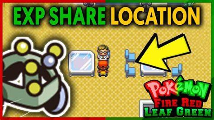 Where is exp share in leaf green?