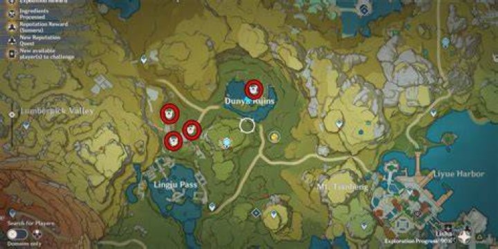 Where is the 4 ruin guards?