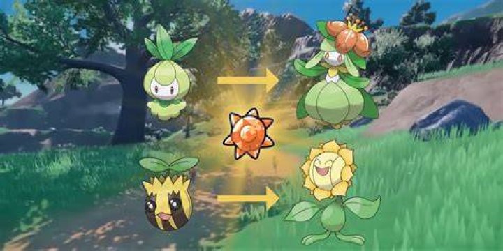 Who can evolve with a Sun Stone?